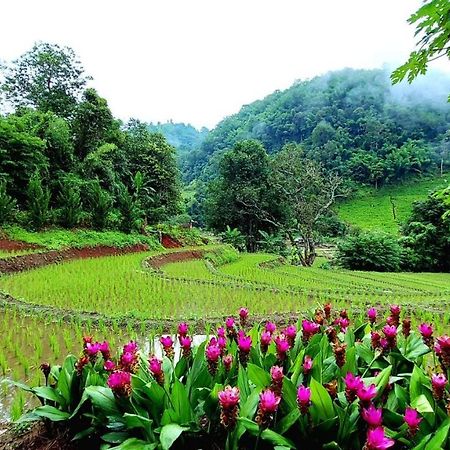 Kowitfarmstay Ban Mae Pan Noi Eksteriør bilde