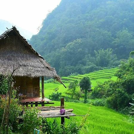 Kowitfarmstay Ban Mae Pan Noi Eksteriør bilde