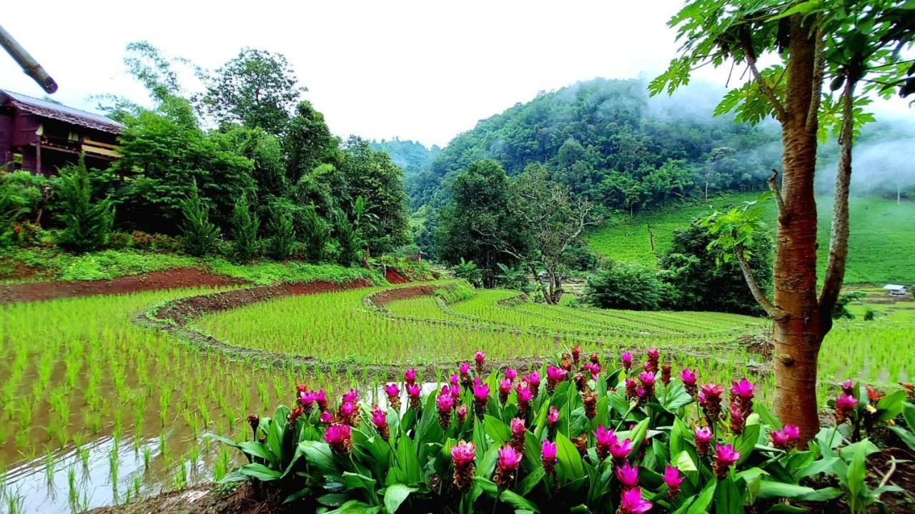 Kowitfarmstay Ban Mae Pan Noi Eksteriør bilde