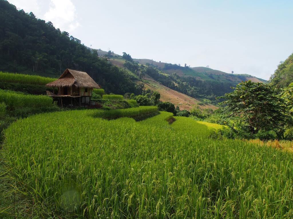 Kowitfarmstay Ban Mae Pan Noi Eksteriør bilde
