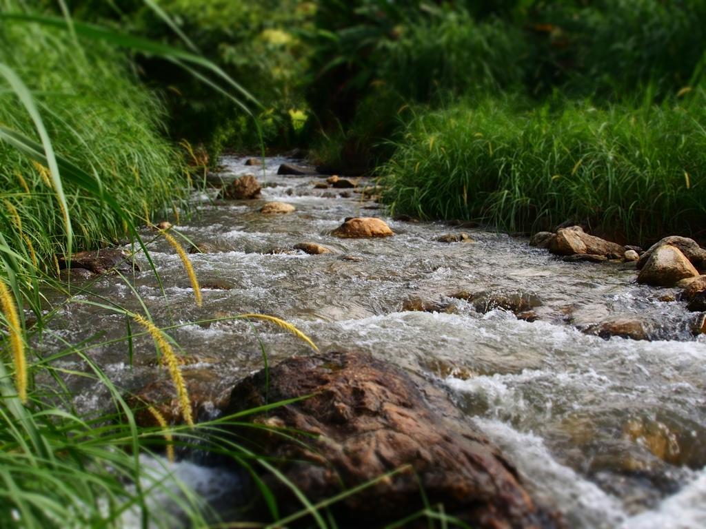 Kowitfarmstay Ban Mae Pan Noi Eksteriør bilde