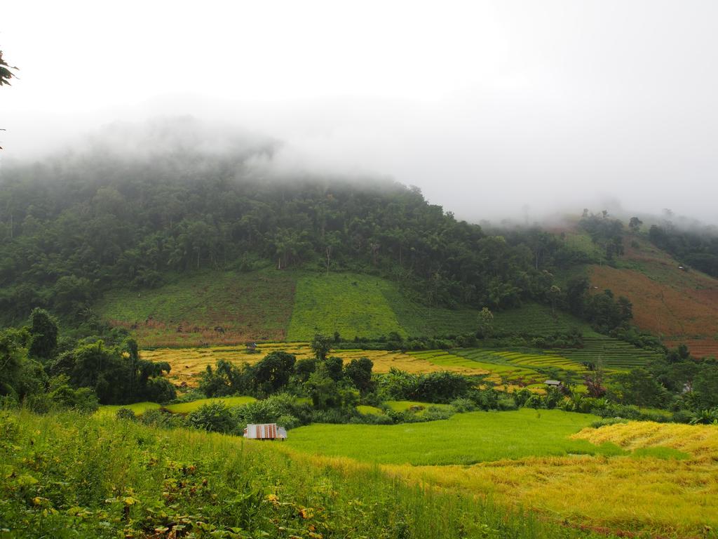 Kowitfarmstay Ban Mae Pan Noi Eksteriør bilde