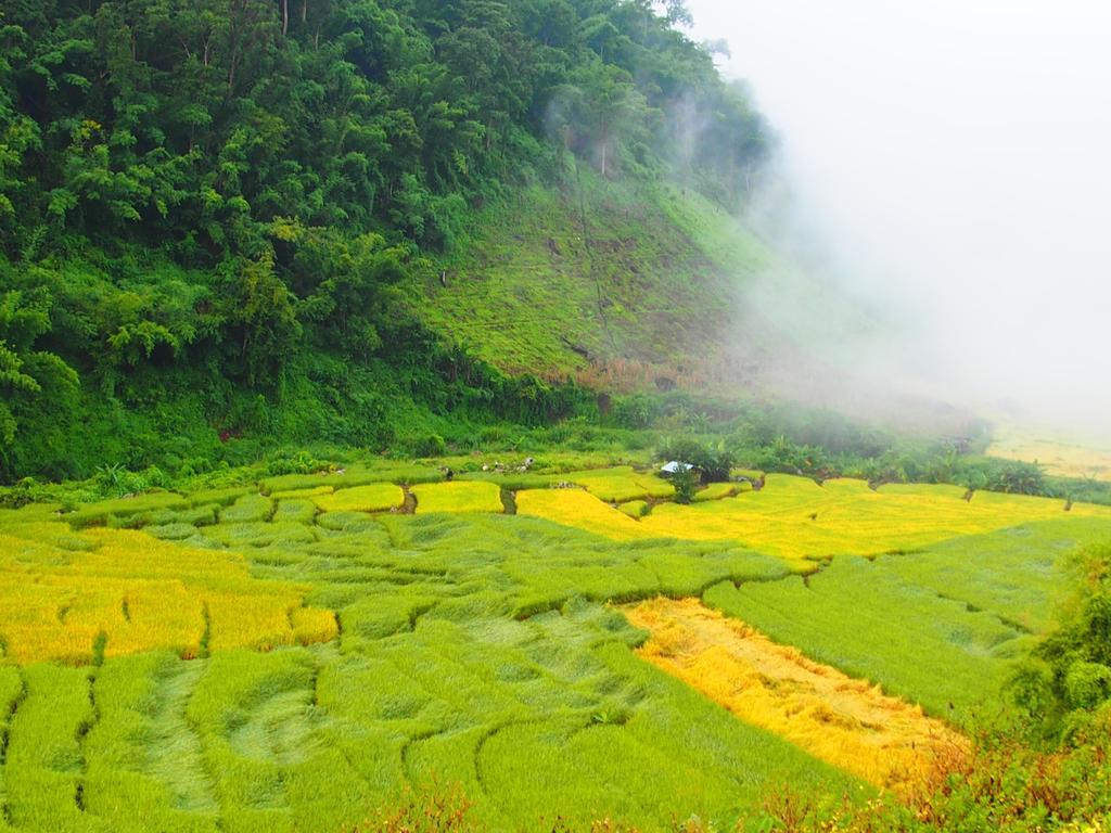 Kowitfarmstay Ban Mae Pan Noi Eksteriør bilde