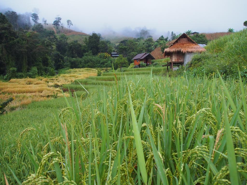 Kowitfarmstay Ban Mae Pan Noi Eksteriør bilde