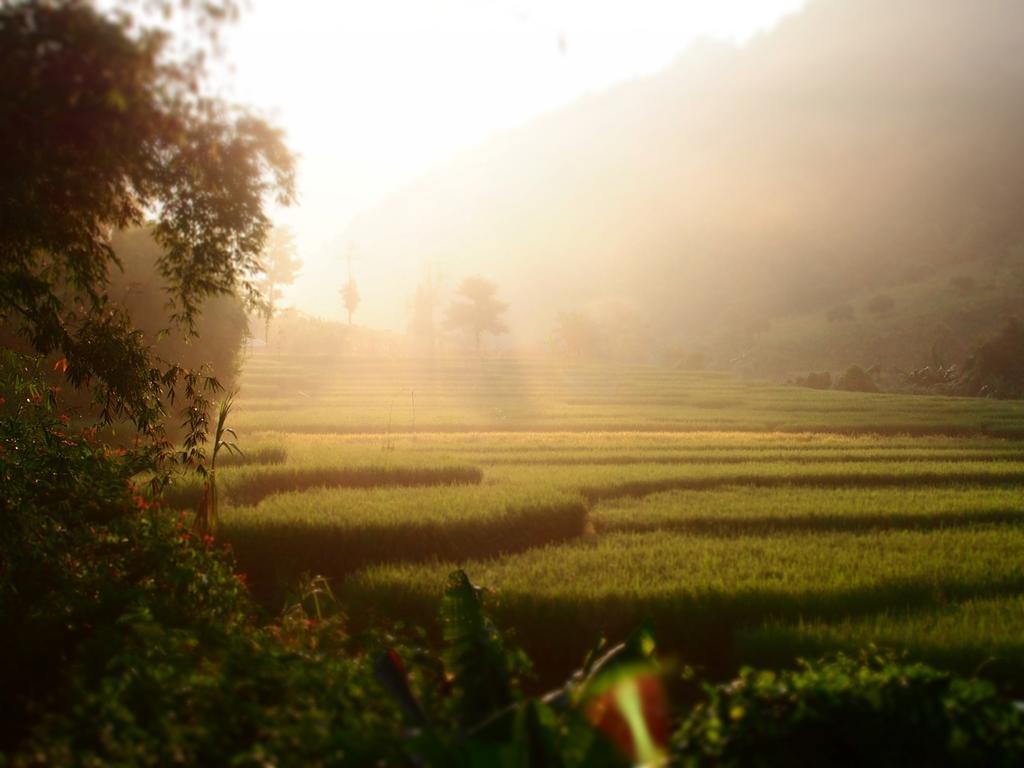 Kowitfarmstay Ban Mae Pan Noi Eksteriør bilde