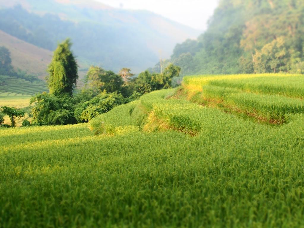 Kowitfarmstay Ban Mae Pan Noi Eksteriør bilde