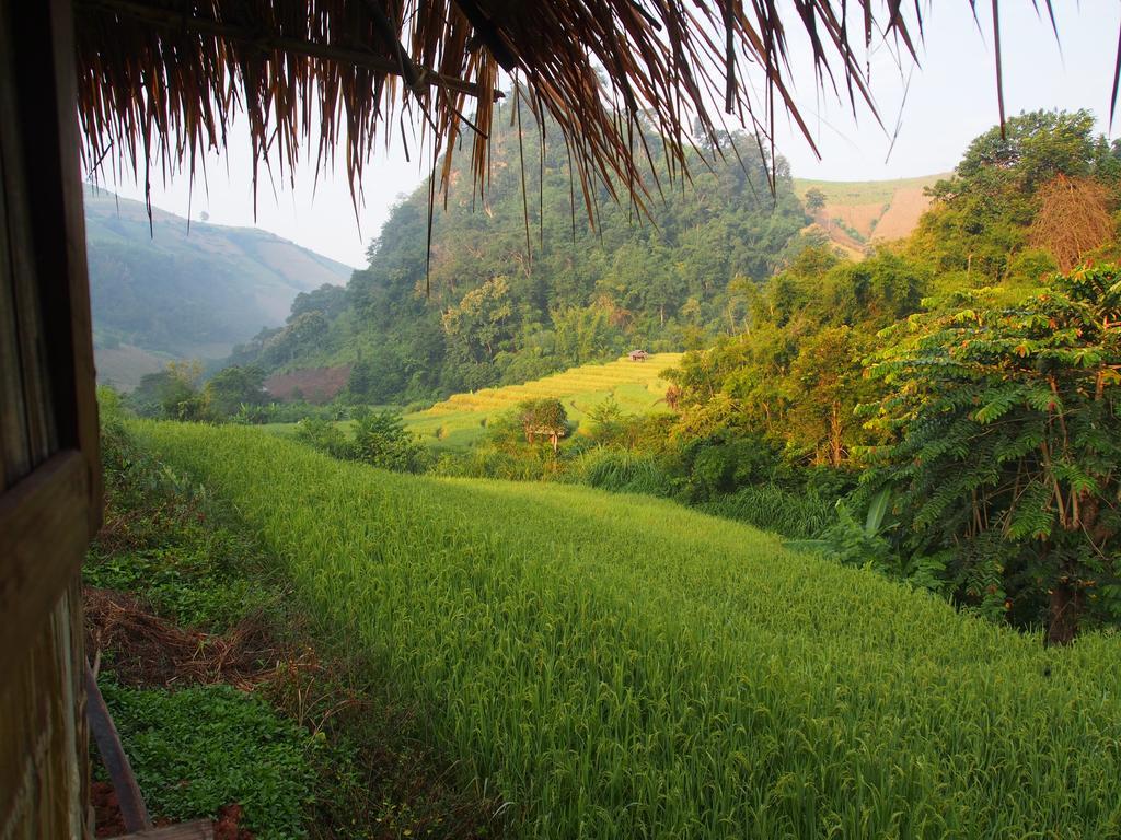 Kowitfarmstay Ban Mae Pan Noi Eksteriør bilde