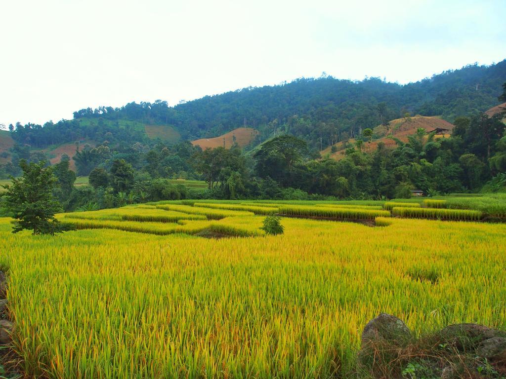 Kowitfarmstay Ban Mae Pan Noi Eksteriør bilde