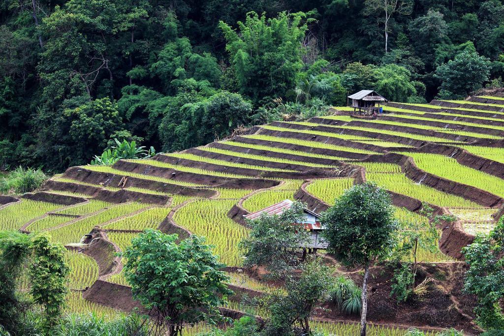 Kowitfarmstay Ban Mae Pan Noi Eksteriør bilde