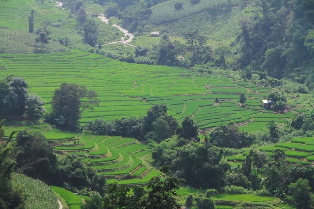 Kowitfarmstay Ban Mae Pan Noi Eksteriør bilde