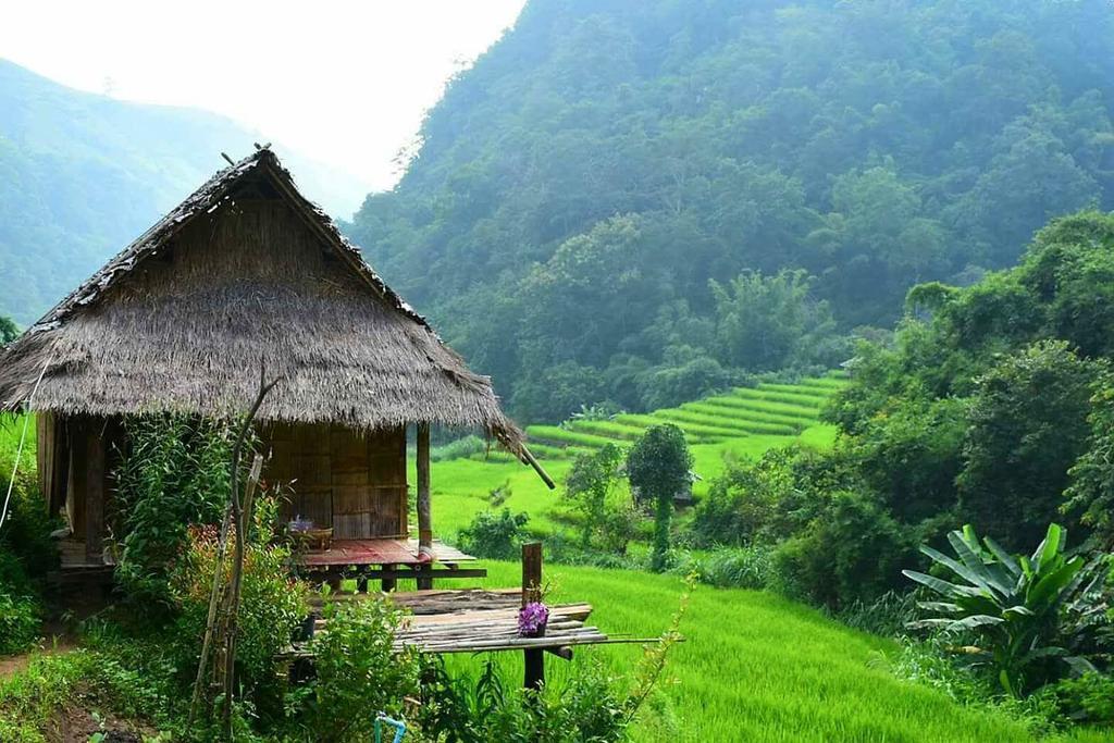 Kowitfarmstay Ban Mae Pan Noi Eksteriør bilde