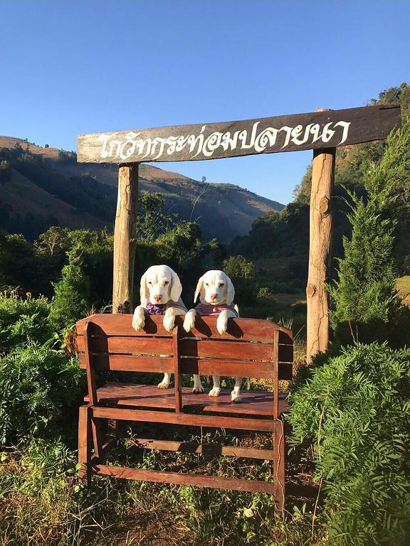 Kowitfarmstay Ban Mae Pan Noi Eksteriør bilde