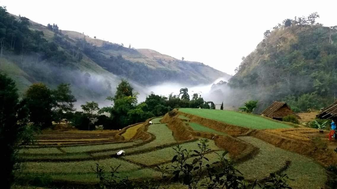 Kowitfarmstay Ban Mae Pan Noi Eksteriør bilde
